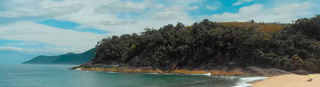 Dedetizadora na Praia Grande 24 HORAS